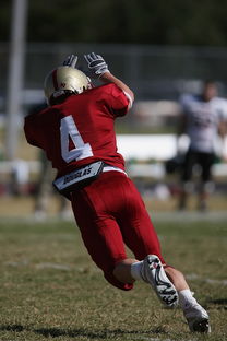 世俱杯决赛-利物浦赛前训练公开,备战世俱杯冲刺