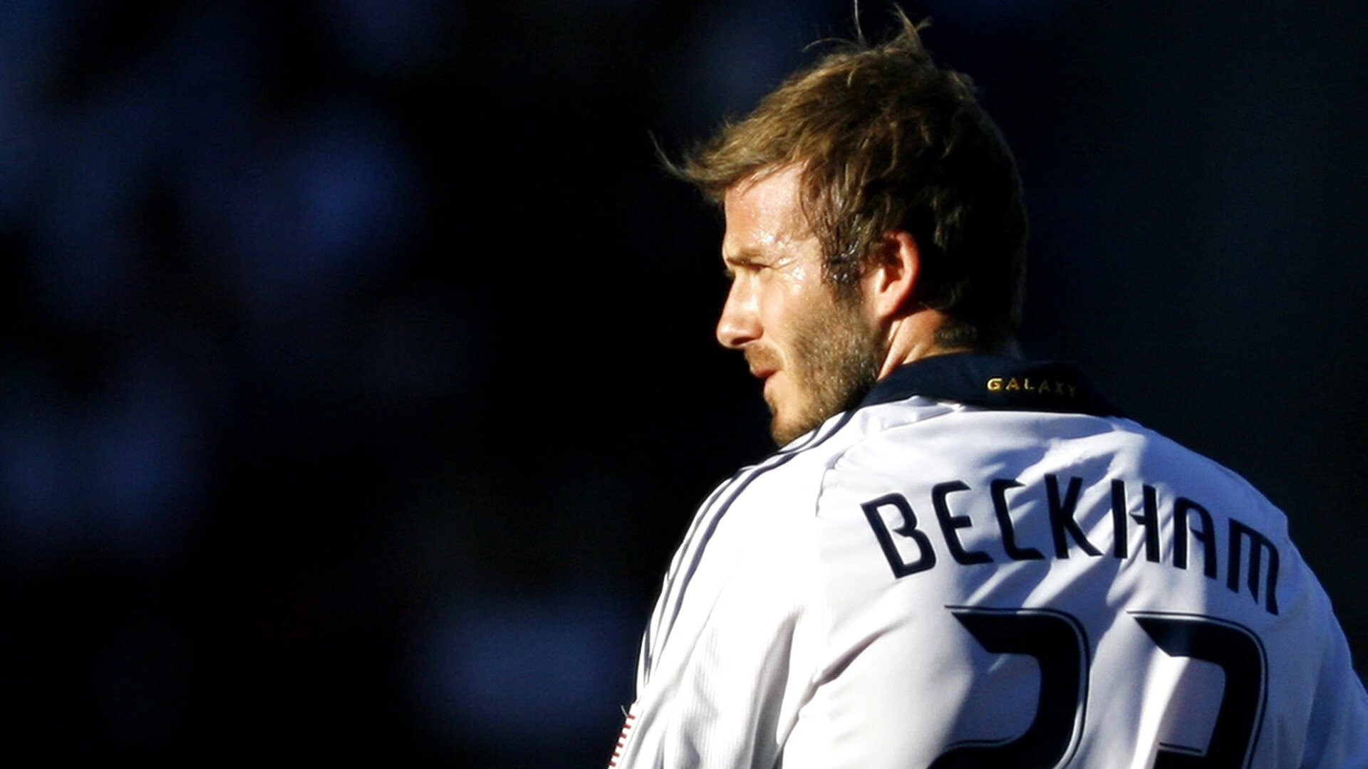 最后的龙吟,当东欧铁骑斩断太极虎的最后一搏